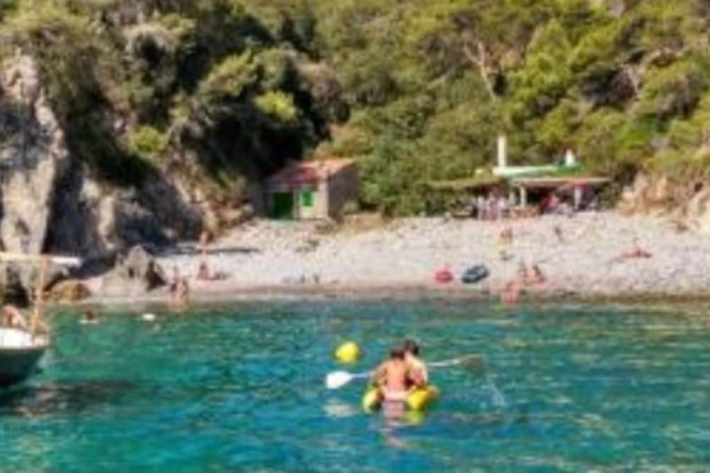 Piscina Playa Wifi Cozy Home Tax Free 팔라모스 외부 사진